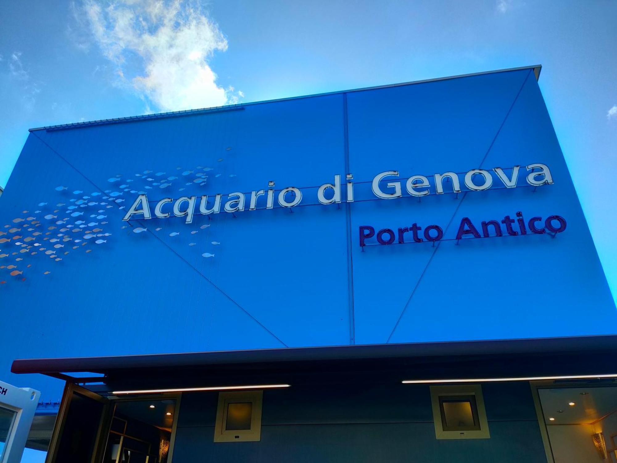 Rooms Ponte Calvi Genoa Exterior photo